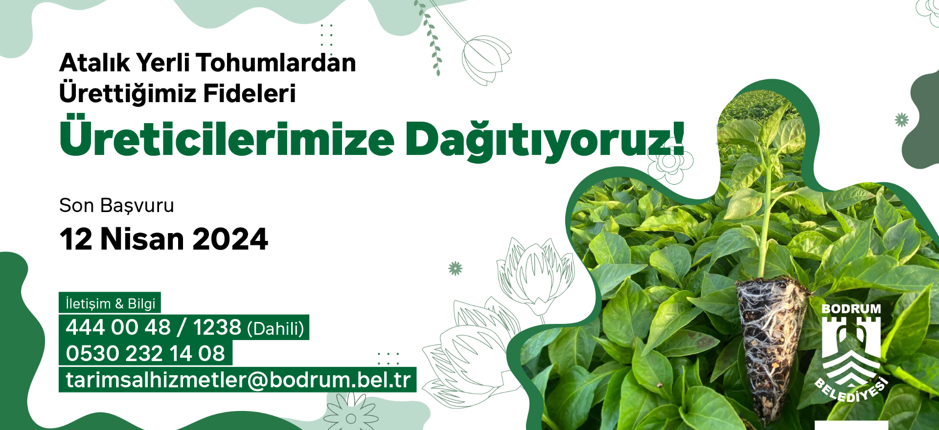 DISPERSING NATIVE SEEDLINGS BY BODRUM MUNICIPALITY