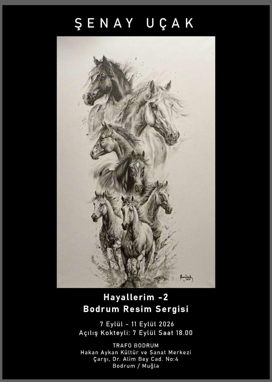 Şenay Uçak  Hayallerim - 2  Bodrum Resim Sergisi