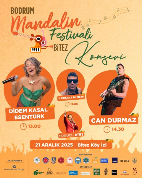 Mandalin Festivali