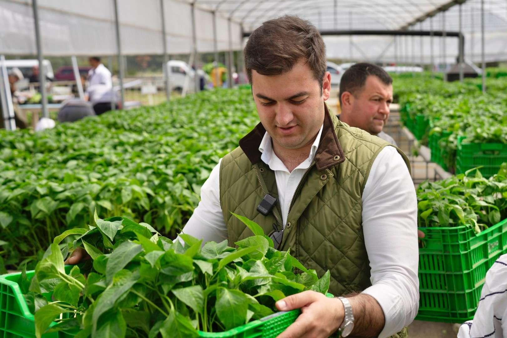 BODRUM PLANTS SEEDS OF SUSTAINABILITY WITH MASSIVE SEEDLING GIVEAWAY