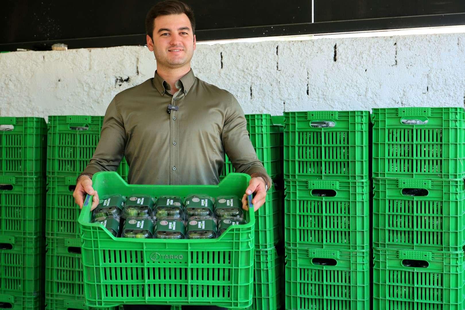 GREEN BODRUM MANDARIN REACHES CONSUMERS EARLY IN MARKETS & MUNICIPAL CAFÉS