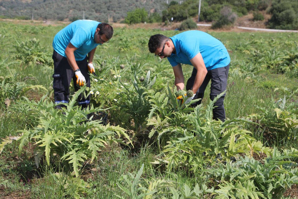 MUNICIPALITY'S AGRICULTURAL DEVELOPMENT WORKS CONTINUE