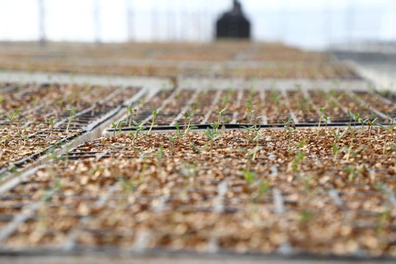 BELEDİYE TARIMSAL ÜRETİM ALANLARINI İYİLEŞTİRİYOR