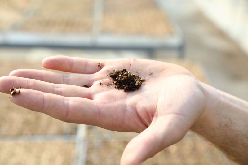 BELEDİYE TARIMSAL ÜRETİM ALANLARINI İYİLEŞTİRİYOR