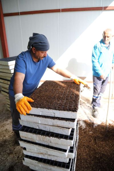 BELEDİYE TARIMSAL ÜRETİM ALANLARINI İYİLEŞTİRİYOR