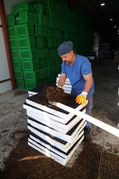 BELEDİYE TARIMSAL ÜRETİM ALANLARINI İYİLEŞTİRİYOR