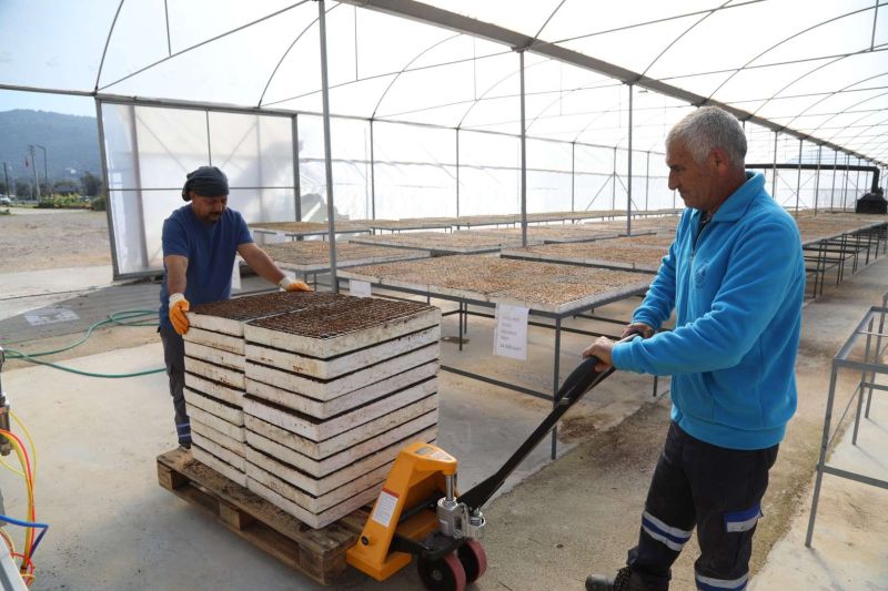 BELEDİYE TARIMSAL ÜRETİM ALANLARINI İYİLEŞTİRİYOR