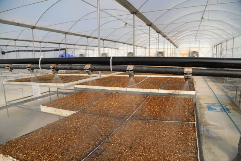 BELEDİYE TARIMSAL ÜRETİM ALANLARINI İYİLEŞTİRİYOR