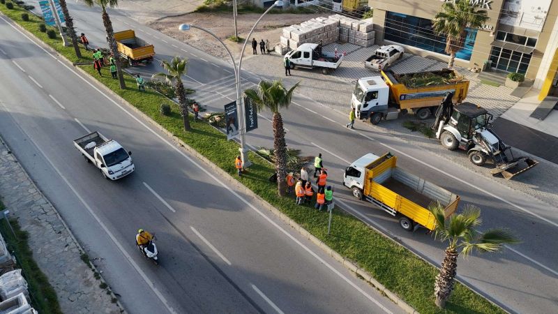 BELEDİYEDEN AĞAÇ BUDAMA ÇALIŞMASI