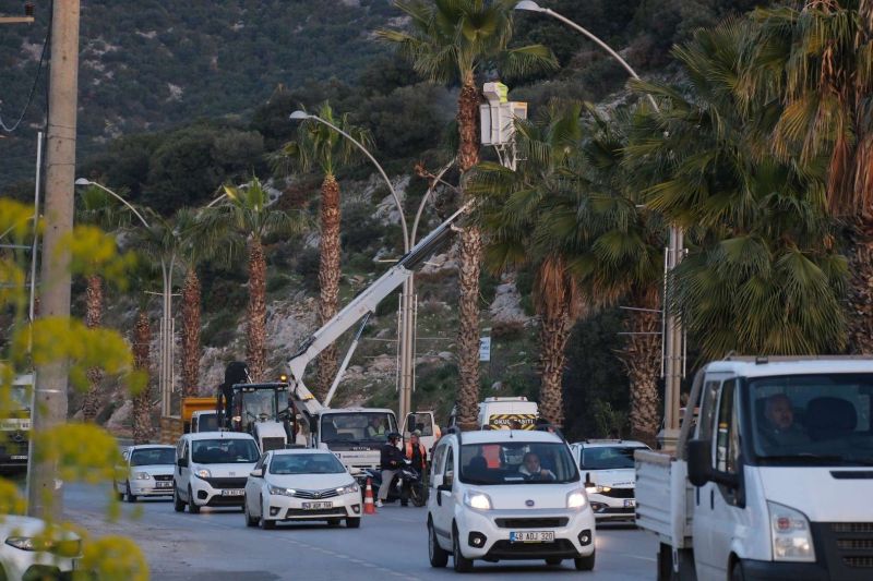 BELEDİYEDEN AĞAÇ BUDAMA ÇALIŞMASI