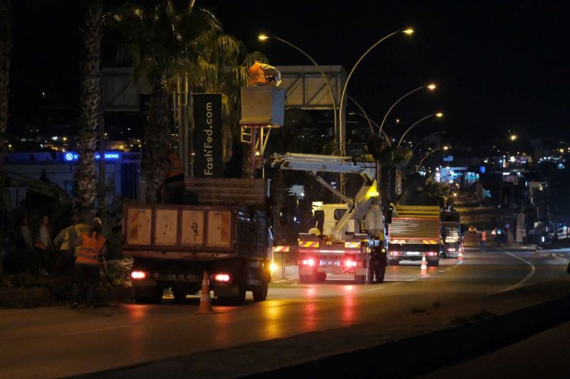 BELEDİYEDEN AĞAÇ BUDAMA ÇALIŞMASI