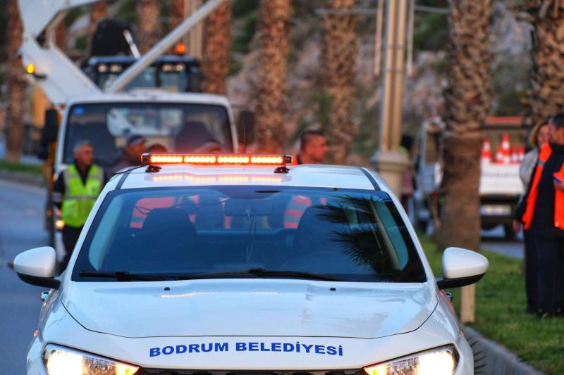 BELEDİYEDEN AĞAÇ BUDAMA ÇALIŞMASI