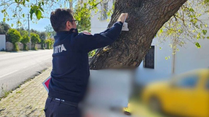 BELEDİYEDEN GÖRÜNTÜ KİRLİLİĞİNE MÜDAHALE