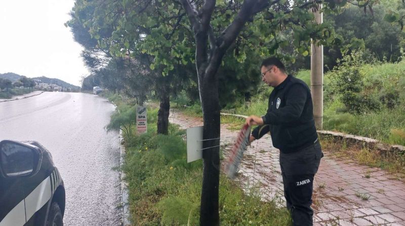 BELEDİYEDEN GÖRÜNTÜ KİRLİLİĞİNE MÜDAHALE