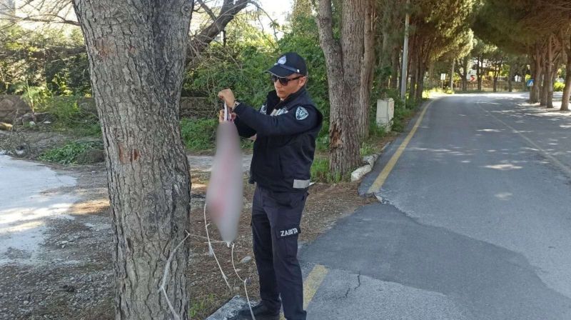 BELEDİYEDEN GÖRÜNTÜ KİRLİLİĞİNE MÜDAHALE