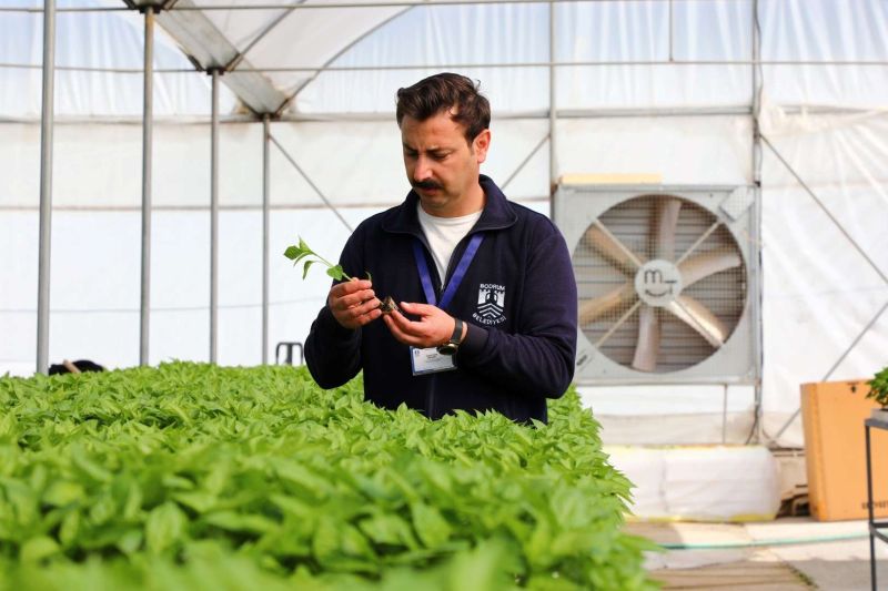 GROWING TOGETHER: BODRUM STRENGTHENS FARMERS WITH FREE PLANTS