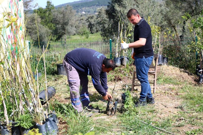 GROWING TOGETHER: BODRUM STRENGTHENS FARMERS WITH FREE PLANTS