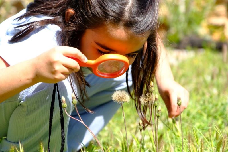 FROM SEED TO HARVEST: FIRST GRADERS VISIT GARAOVA AGRICULTURAL PARK