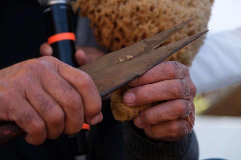 BİTEZ’İN YENİ FESTİVALİ RENKLİ GÖRÜNTÜLERLE GEÇTİ