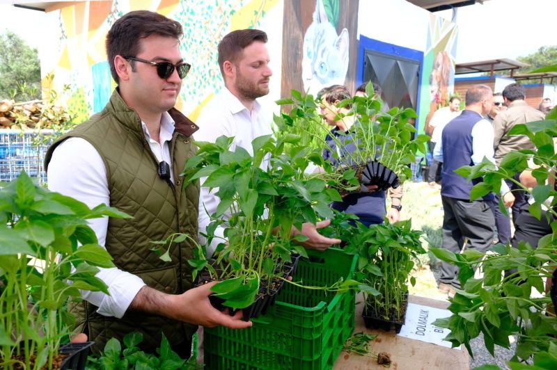 BODRUM PLANTS SEEDS OF SUSTAINABILITY WITH MASSIVE SEEDLING GIVEAWAY