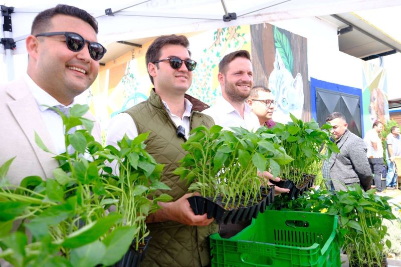 BODRUM PLANTS SEEDS OF SUSTAINABILITY WITH MASSIVE SEEDLING GIVEAWAY