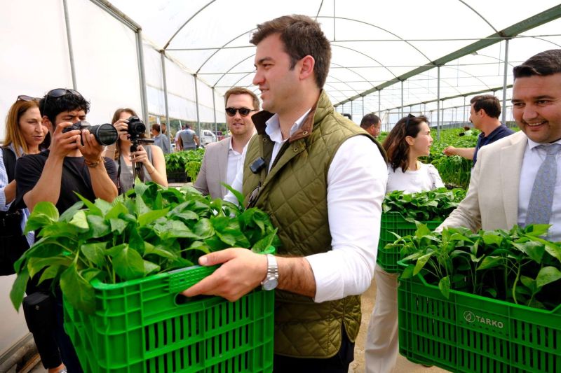 BODRUM PLANTS SEEDS OF SUSTAINABILITY WITH MASSIVE SEEDLING GIVEAWAY