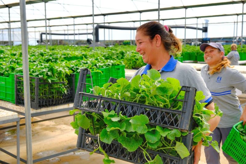 BODRUM PLANTS SEEDS OF SUSTAINABILITY WITH MASSIVE SEEDLING GIVEAWAY