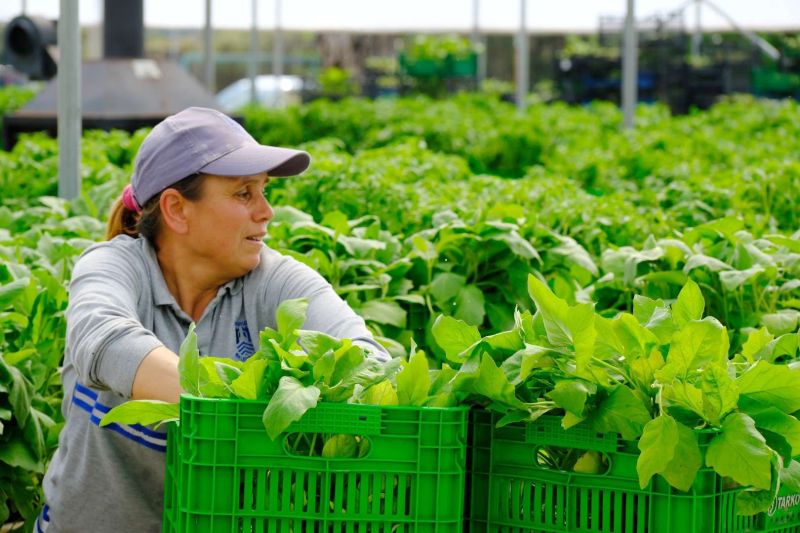 BODRUM PLANTS SEEDS OF SUSTAINABILITY WITH MASSIVE SEEDLING GIVEAWAY