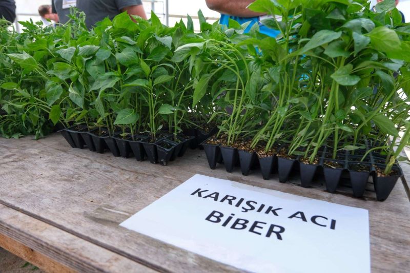 BODRUM PLANTS SEEDS OF SUSTAINABILITY WITH MASSIVE SEEDLING GIVEAWAY