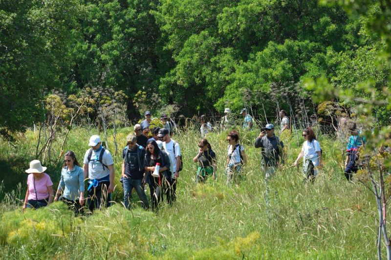 BODRUM’S CULTURAL JOURNEYS CONTINUE: A WALK THROUGH HISTORY AT MYNDOS