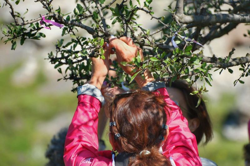 HIKING THROUGH HISTORY: BODRUM’S HIDIRELLEZ ADVENTURE