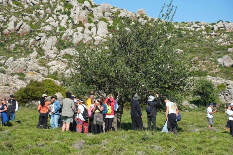 HIKING THROUGH HISTORY: BODRUM’S HIDIRELLEZ ADVENTURE