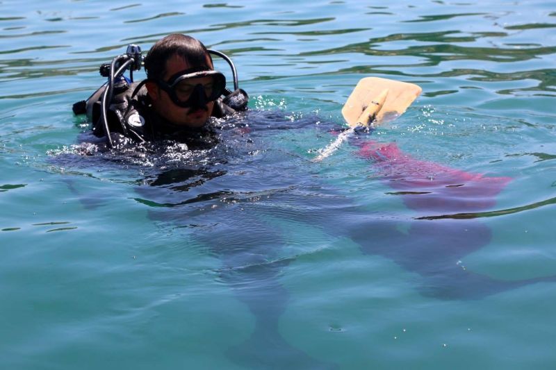 BODRUM’UN ENGİN MAVİLİĞİNDE TEMİZLİK SÜRÜYOR
