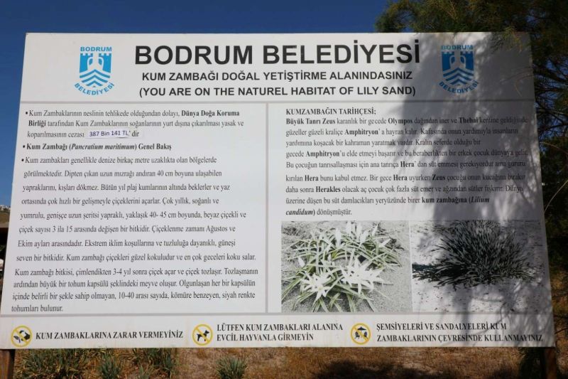 BELEDİYEDEN ÖĞRENCİLERE KUM ZAMBAĞI FARKINDALIK ETKİNLİĞİ