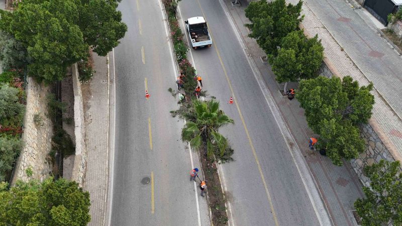 HOLIDAY SHINE: BODRUM’S FIELD TEAMS PREP THE PENINSULA FOR EID