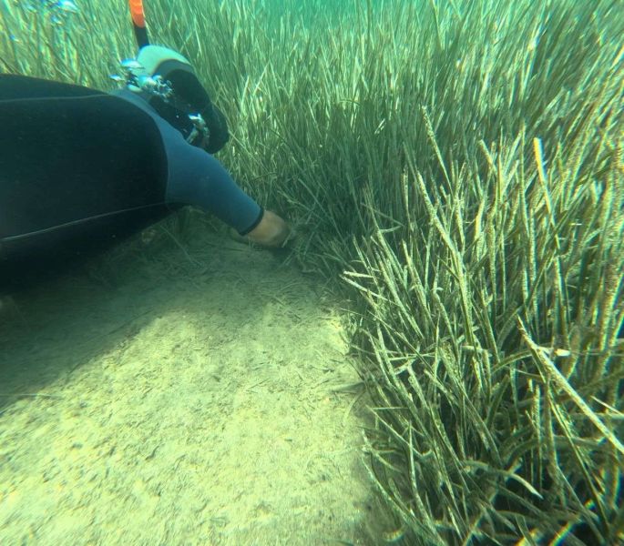PROTECTING THE BLUE: THIRD PHASE OF SEABED CLEANUP HELD IN BİTEZ