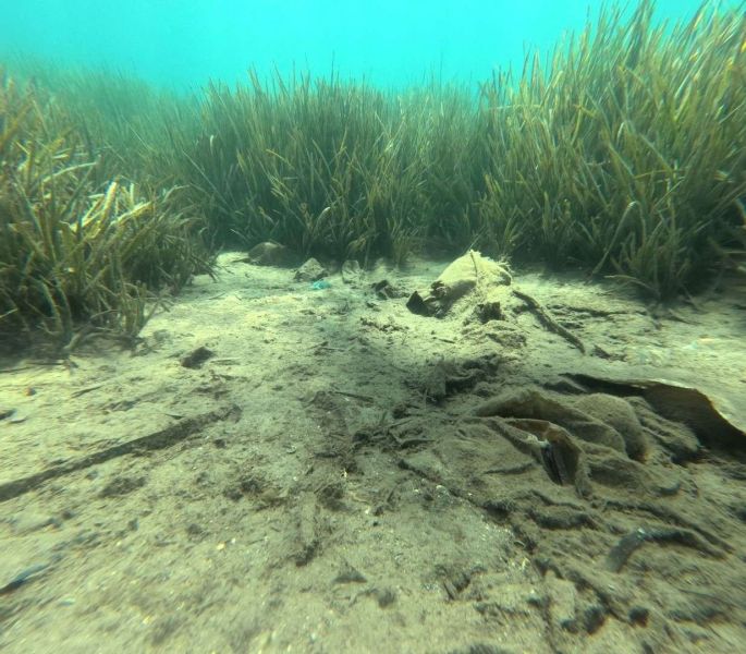 PROTECTING THE BLUE: THIRD PHASE OF SEABED CLEANUP HELD IN BİTEZ