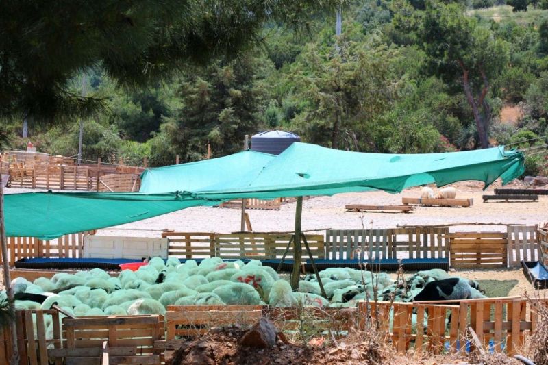 EID IN BODRUM: CLEAN, SAFE & UNITED