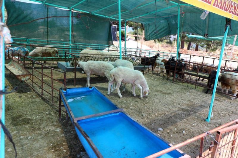 EID IN BODRUM: CLEAN, SAFE & UNITED