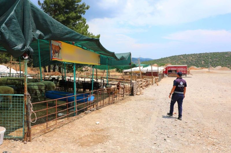 EID IN BODRUM: CLEAN, SAFE & UNITED