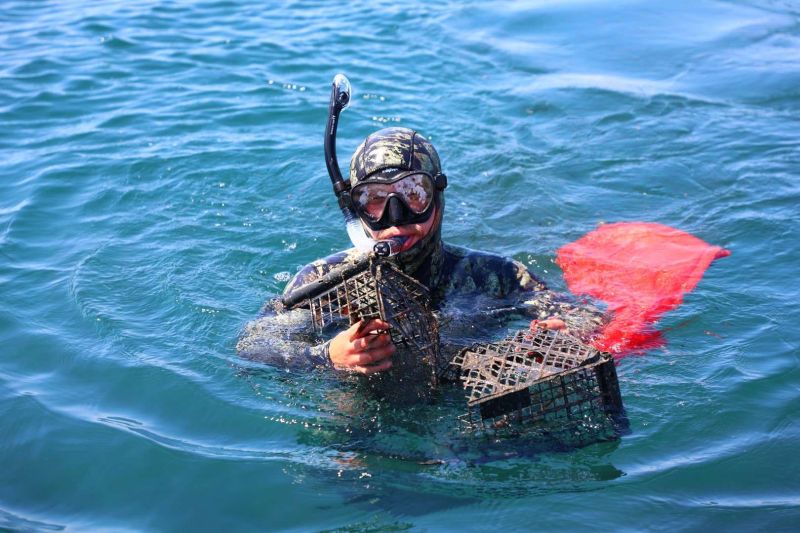 GELENEKSEL DENİZ DİBİ TEMİZLİĞİ DEVAM EDİYOR