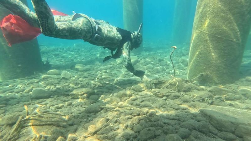 GELENEKSEL DENİZ DİBİ TEMİZLİĞİ DEVAM EDİYOR