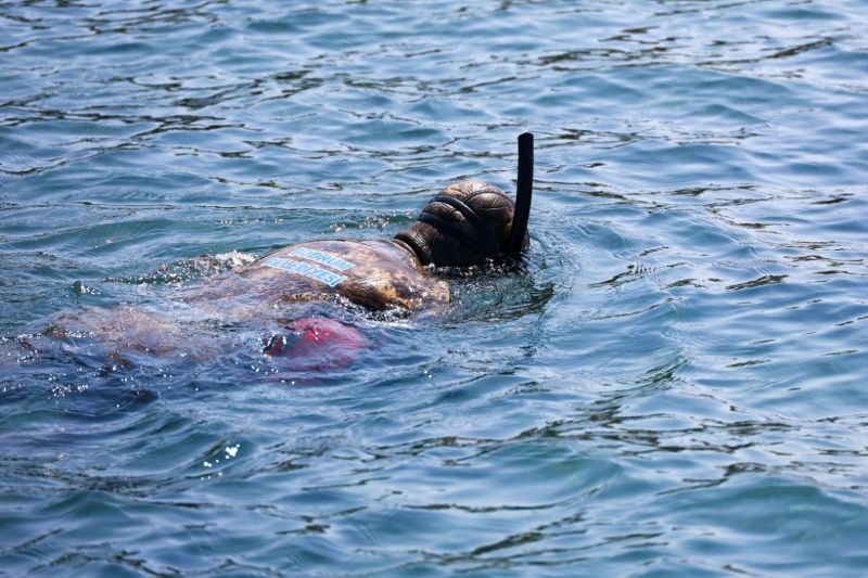 PROTECTING THE BLUE: THIRD PHASE OF SEABED CLEANUP CONTINUES IN TURGUTREİS