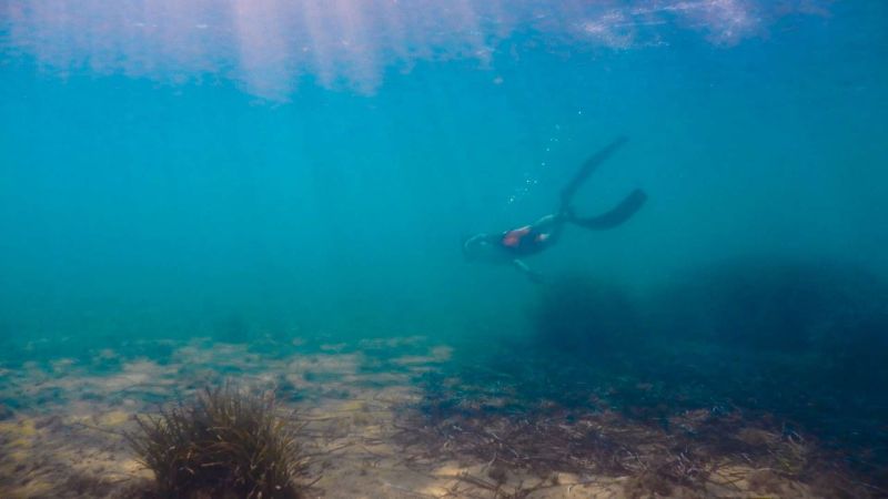 PROTECTING THE BLUE: THIRD PHASE OF SEABED CLEANUP CONTINUES IN TURGUTREİS
