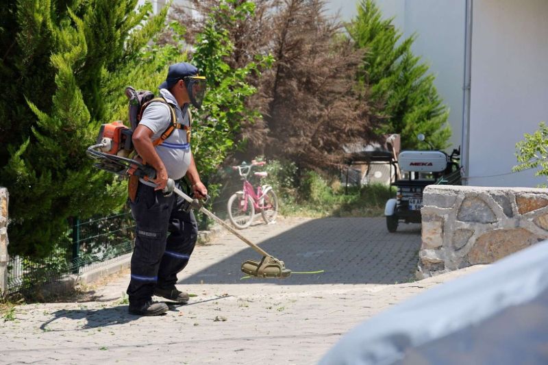 OT TEMİZLİĞİ VE BUDAMA ÇALIŞMALARI DEVAM EDİYOR
