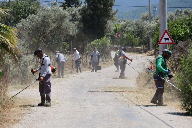OT TEMİZLİĞİ VE BUDAMA ÇALIŞMALARI DEVAM EDİYOR