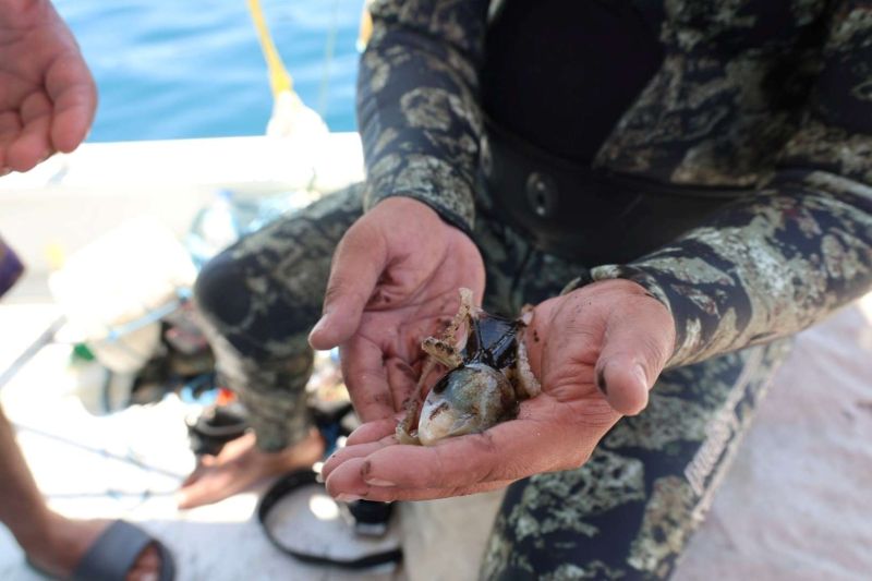 168 KILOS OF WASTE REMOVED FROM GÜNDOĞAN SEABED