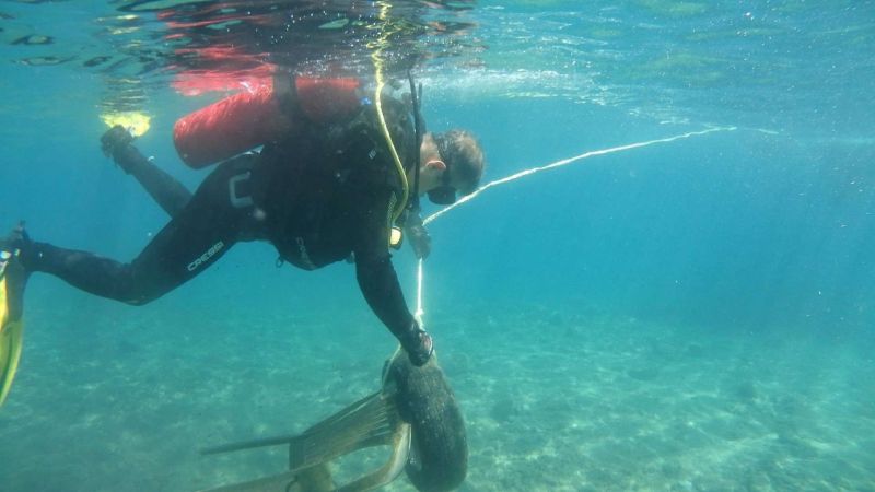 168 KILOS OF WASTE REMOVED FROM GÜNDOĞAN SEABED