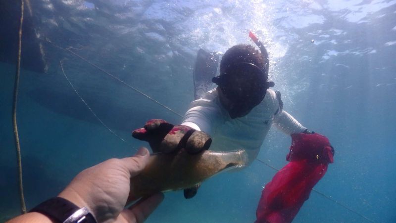 BLUE FOR THE SEA: BODRUM’S UNDERWATER CLEANUP CONTINUES İN TÜRKBÜKÜ