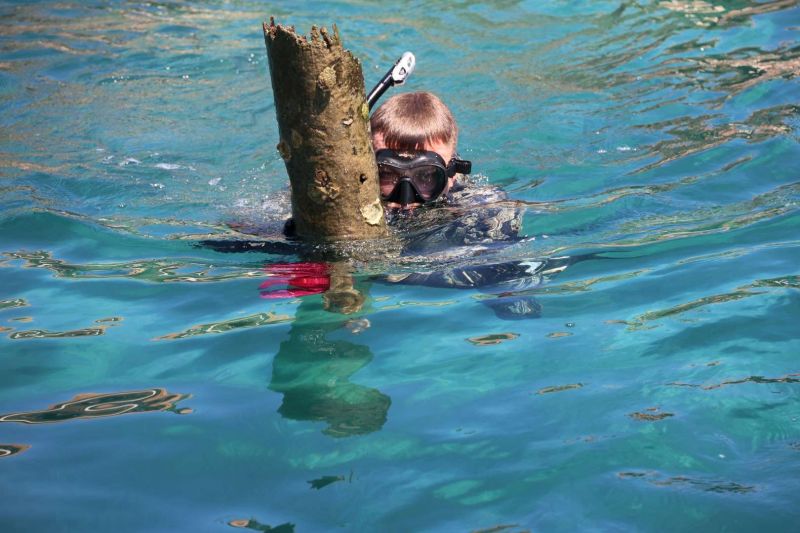 BLUE FOR THE SEA: BODRUM’S UNDERWATER CLEANUP CONTINUES İN TÜRKBÜKÜ